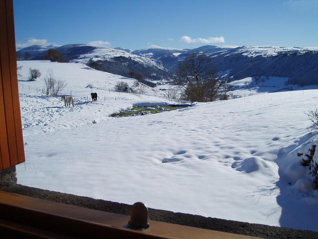 Domaine De La Chaux De Revel ξενώνας Saint-Martin-Valmeroux Εξωτερικό φωτογραφία