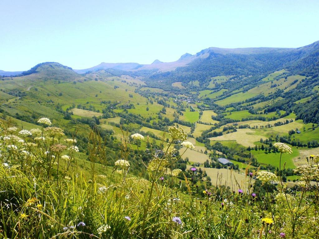 Domaine De La Chaux De Revel ξενώνας Saint-Martin-Valmeroux Εξωτερικό φωτογραφία